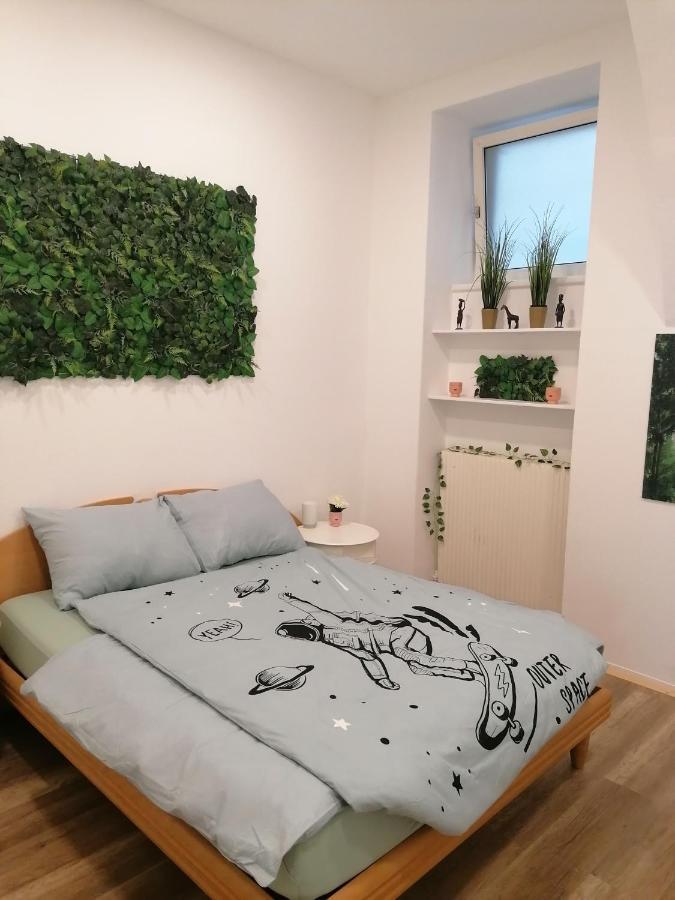 City Apartment Mit Direktzugang Viyana Dış mekan fotoğraf